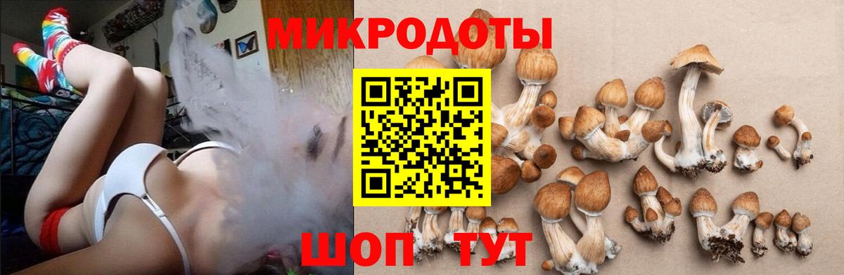 Костомукша  Псилоцибиновые грибы Cubensis  Вход с VPN 